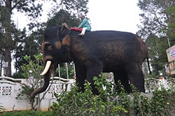 PAresort