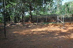 PAresort